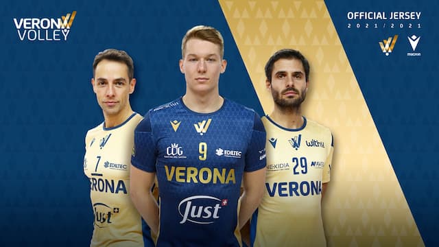 BluVolley Verona artwork 3