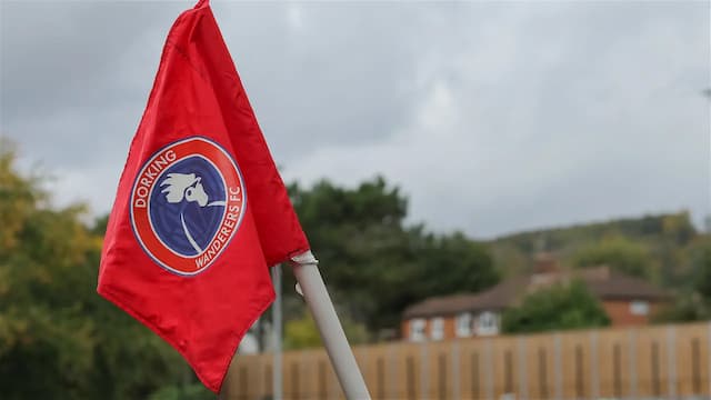 Dorking Wanderers artwork 2