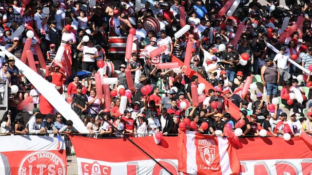 Deportes Copiapó artwork 2