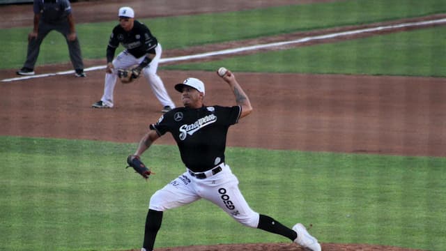 Saraperos de Saltillo artwork 5