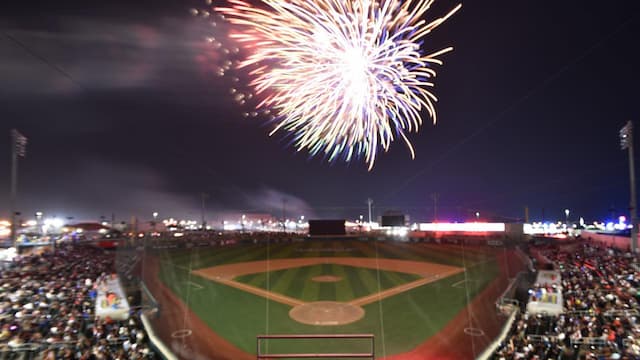 Tecolotes de los Dos Laredos artwork 5