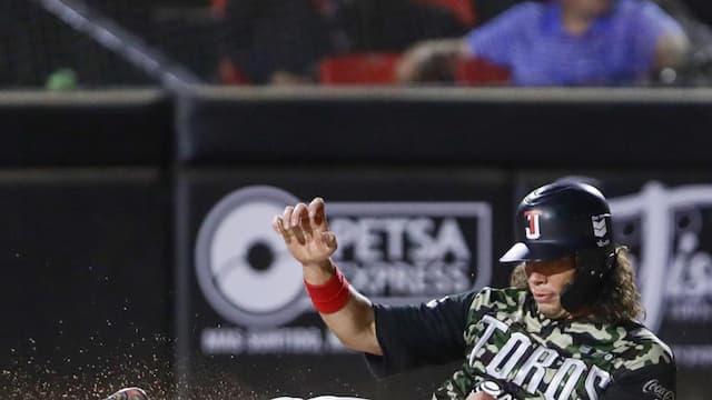 Toros de Tijuana artwork 5