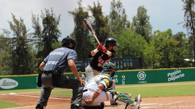 Olmecas de Tabasco artwork 5