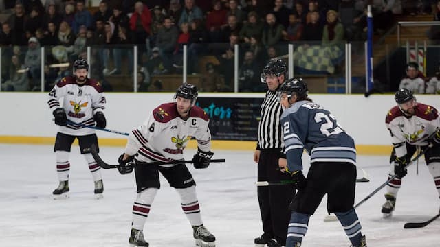 Botany Swarm artwork 2