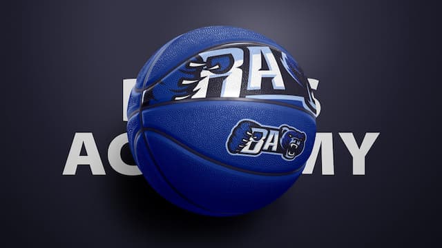 Bears Academy artwork 2