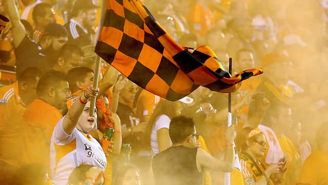 Houston Dynamo artwork 6