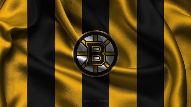 Boston Bruins artwork 6