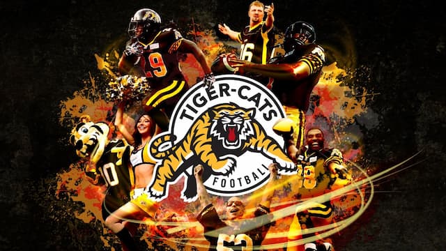 Hamilton Tiger-Cats artwork 6