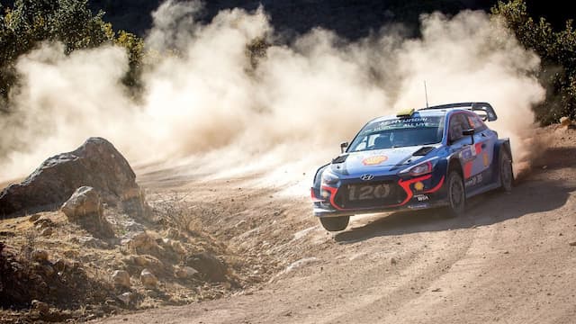 Hyundai Shell World Rally Team artwork 6