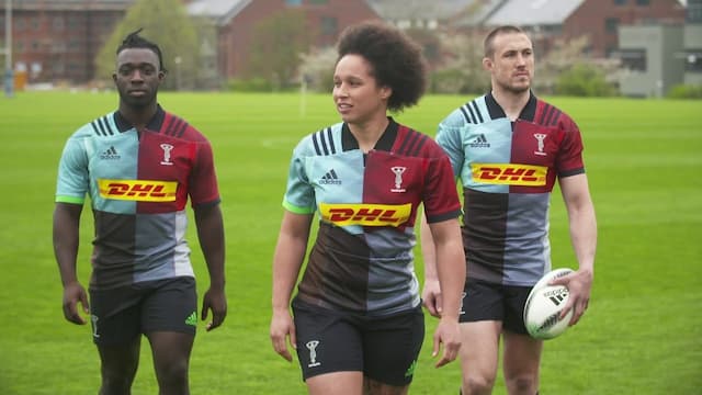 Harlequins artwork 6