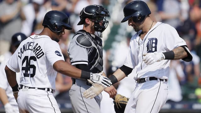 Detroit Tigers artwork 6