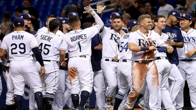 Tampa Bay Rays artwork 6