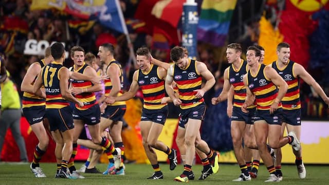 Adelaide Football Club artwork 6