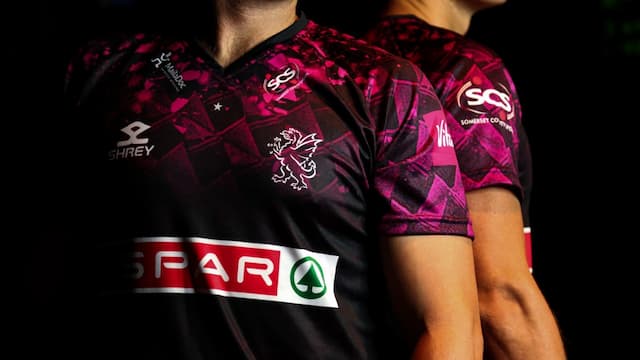 Somerset t20 artwork 6