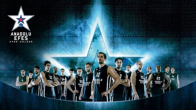 Anadolu Efes SK artwork 4