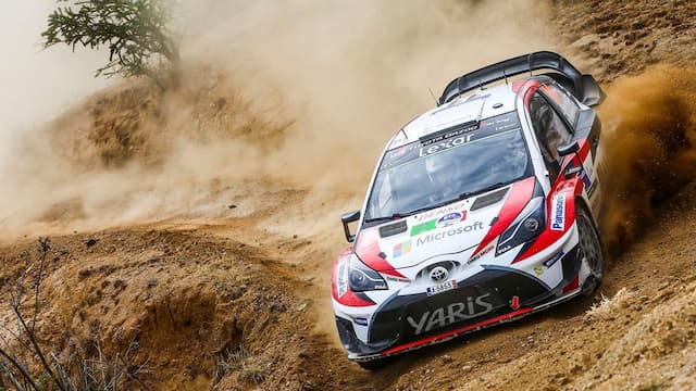 Toyota Gazoo Racing WRT artwork 6