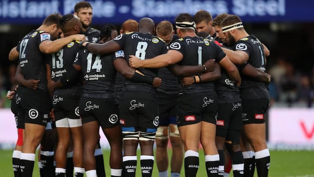 The Sharks artwork 6