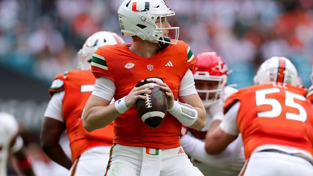 Miami (FL) artwork 6