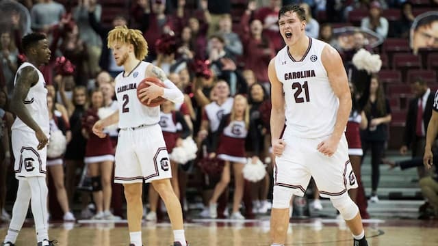 South Carolina artwork 6