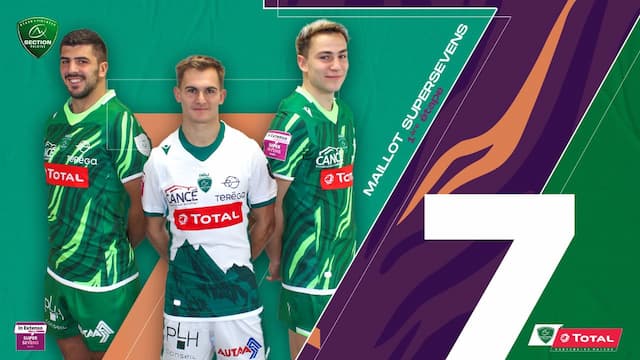 Section Paloise artwork 6