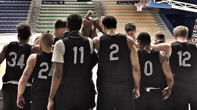 Leuven Bears artwork 6