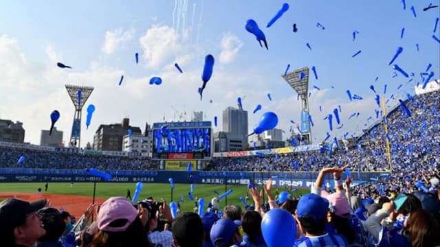 Yokohama DeNA BayStars artwork 6