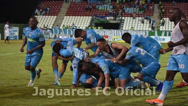 Jaguares de Córdoba artwork 6