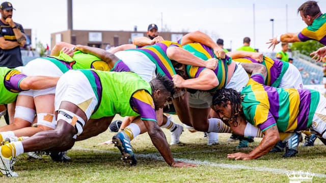 New Orleans Gold artwork 6