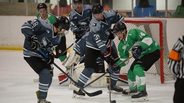 Auckland Mako artwork 3