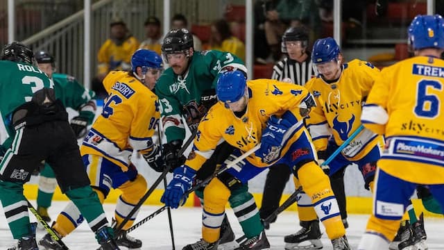 Skycity Stampede artwork 3