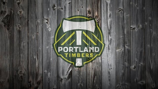 Portland Timbers artwork 7