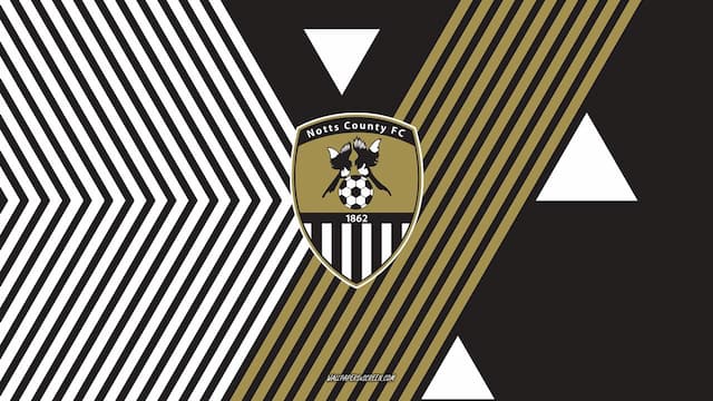 Notts County artwork 7