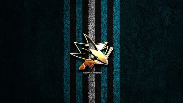 San Jose Sharks artwork 7