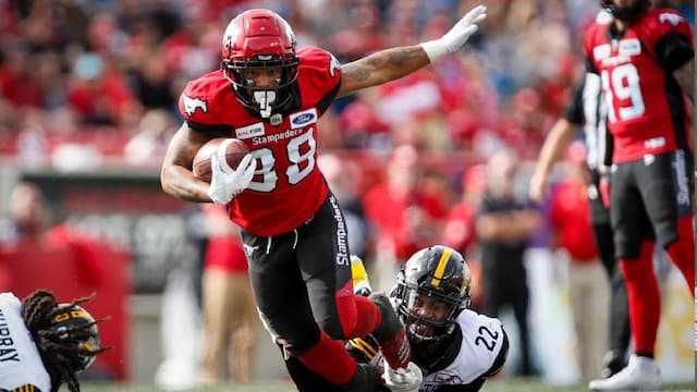 Calgary Stampeders artwork 7