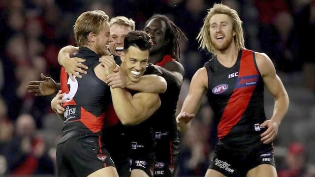 Essendon Football Club artwork 7