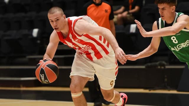 KK Crvena zvezda artwork 7