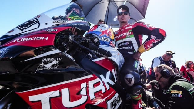 Puccetti Racing artwork 7