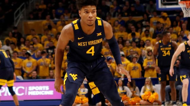 West Virginia artwork 7