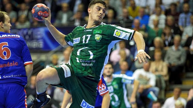 Füchse Berlin artwork 7