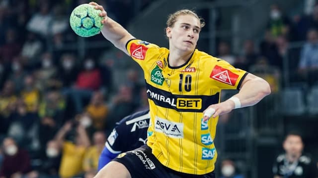 Rhein-Neckar Löwen artwork 7