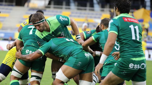 Section Paloise artwork 7