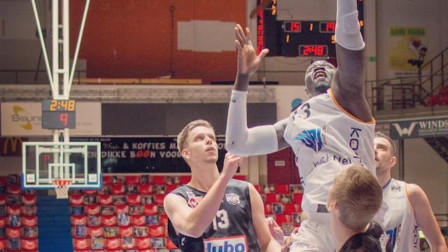 Okapi Aalst artwork 7