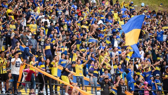 Everton de Viña del Mar artwork 5