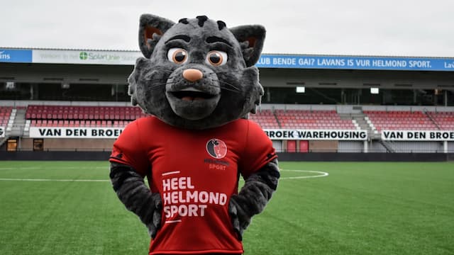 Helmond Sport artwork 6