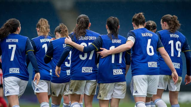 Birmingham City WFC artwork 7