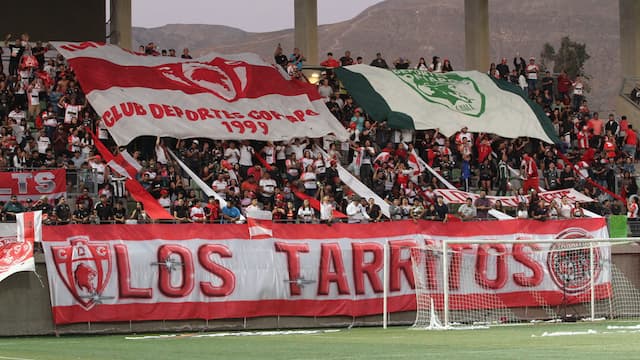 Deportes Copiapó artwork 4