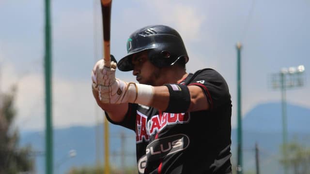 Olmecas de Tabasco artwork 7