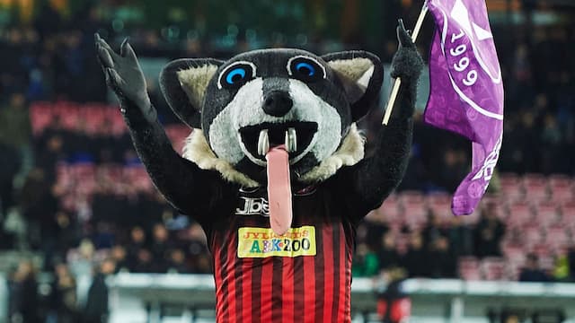 FC Midtjylland artwork 8