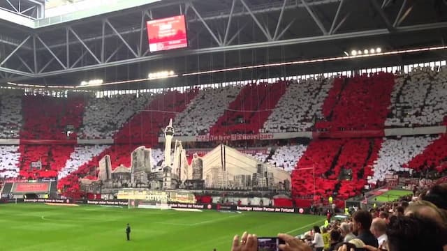 Fortuna Düsseldorf artwork 8