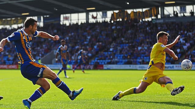 Shrewsbury artwork 8